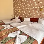 Hotel Erzsebet 3*