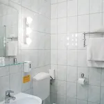 Hotel Erzsebet