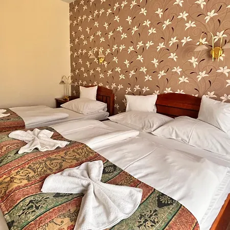 Hotel Erzsebet 3*