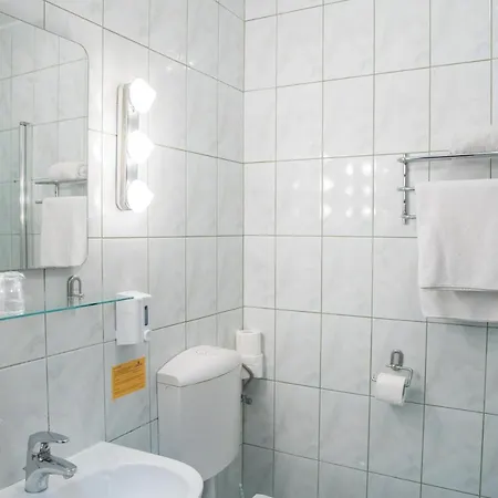 Отель Erzsebet