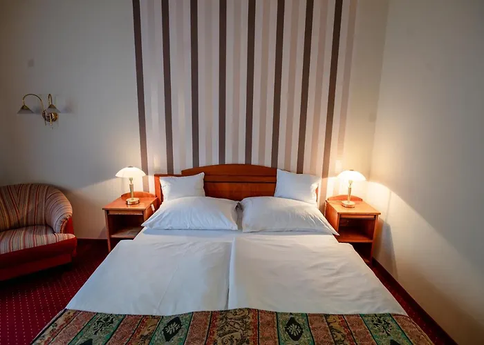 ホテル Erzsebet ヘーヴィーズ