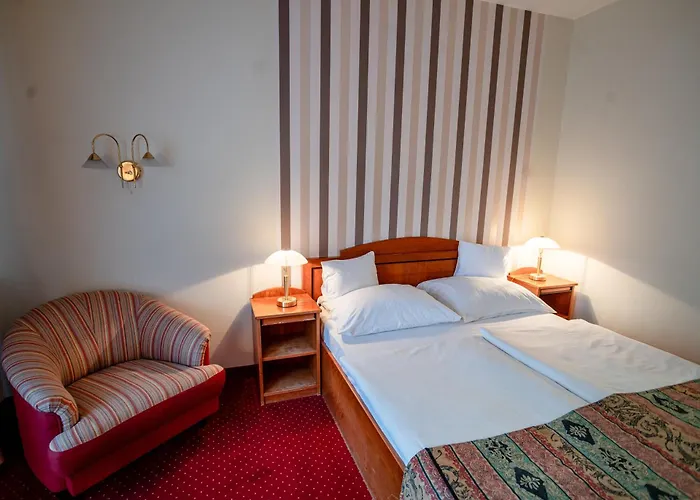 艾兹赛贝特酒店 3* Hévíz