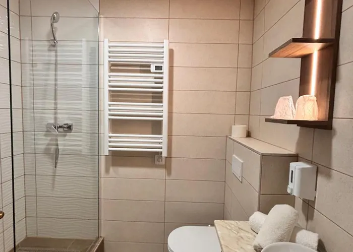 酒店 艾兹赛贝特酒店 3*