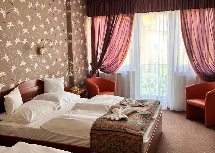 艾兹赛贝特酒店 酒店