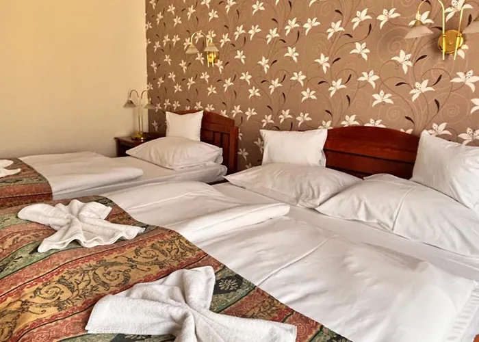 ホテル Erzsebet 3*